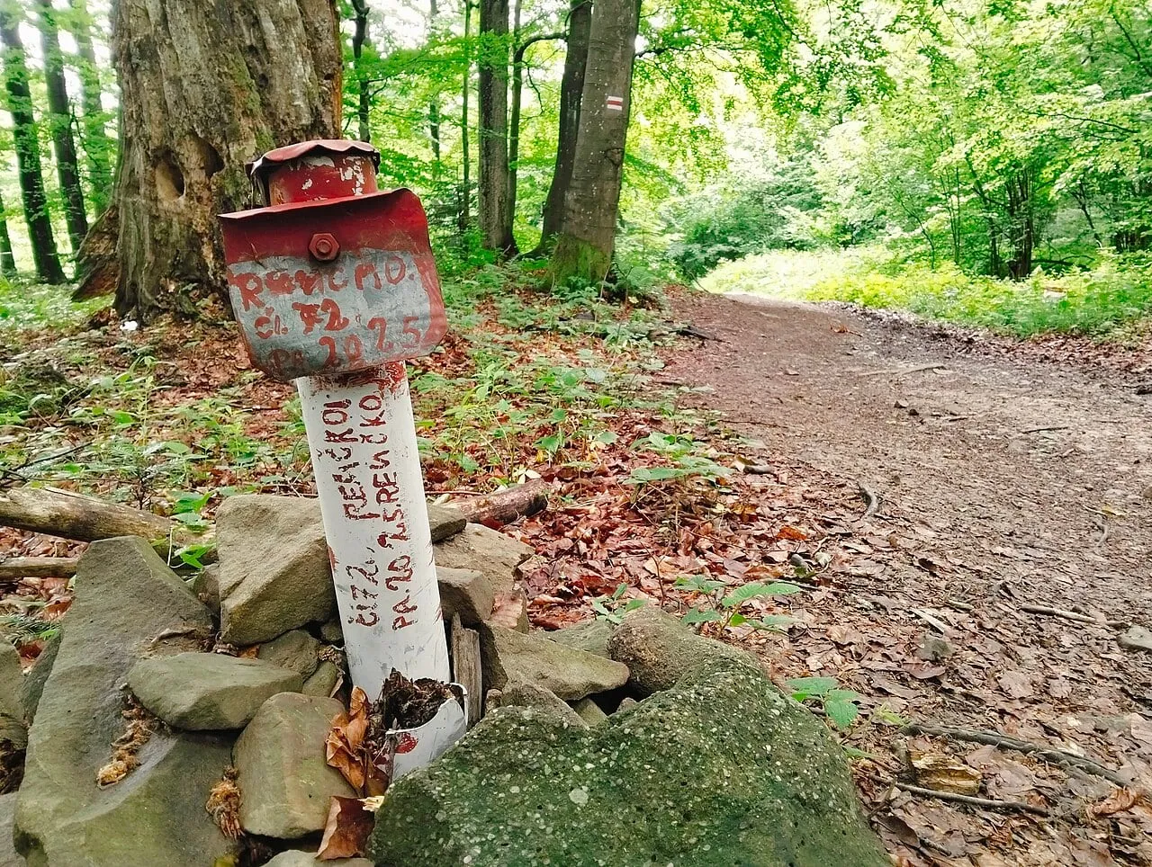 Czerwony szlak między Przełęczą Beskid a Lackową