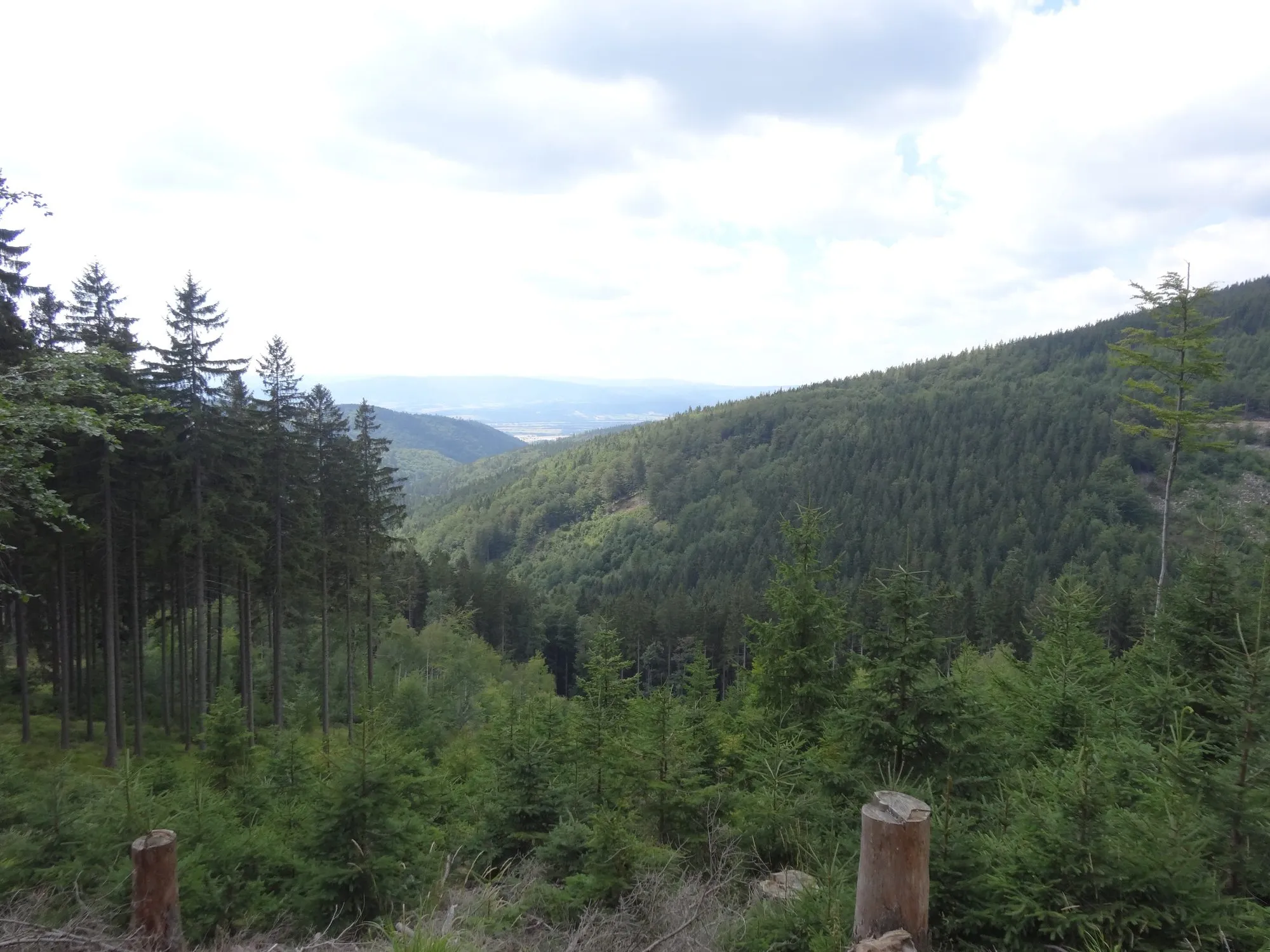Widok na dolinę z drogi leśnej nad Międzygórzem, sierpień 2016
