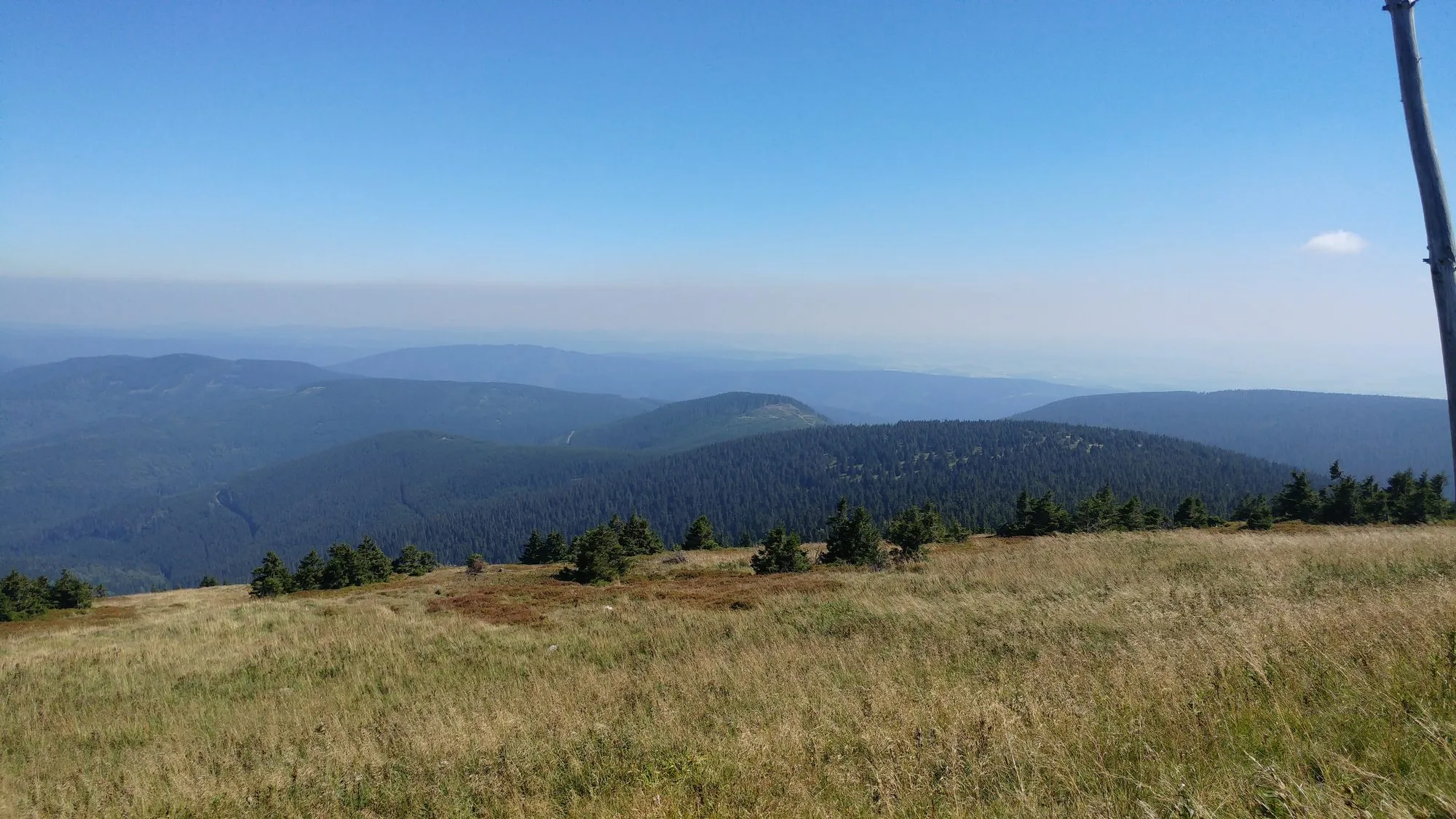 Widok z Pradziada na grzbiety Wysokiego Jesionika