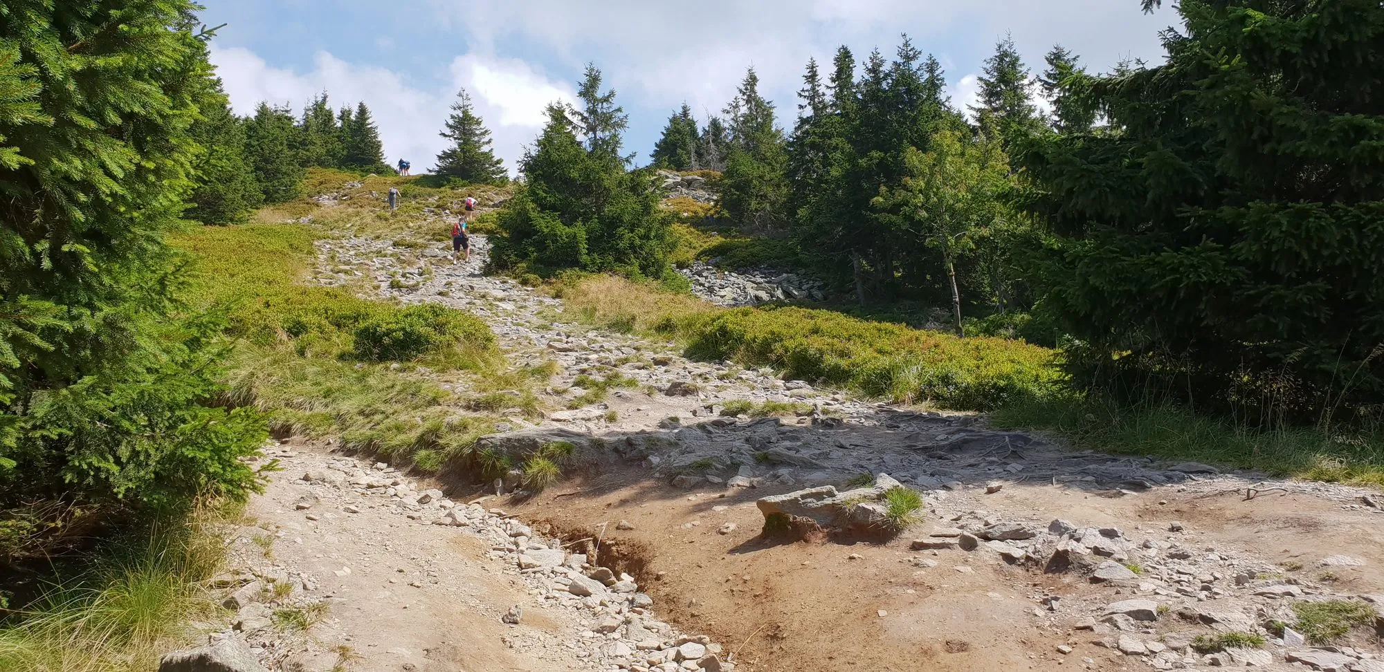 Kamienisty zielony szlak nad schroniskiem, sierpień 2018