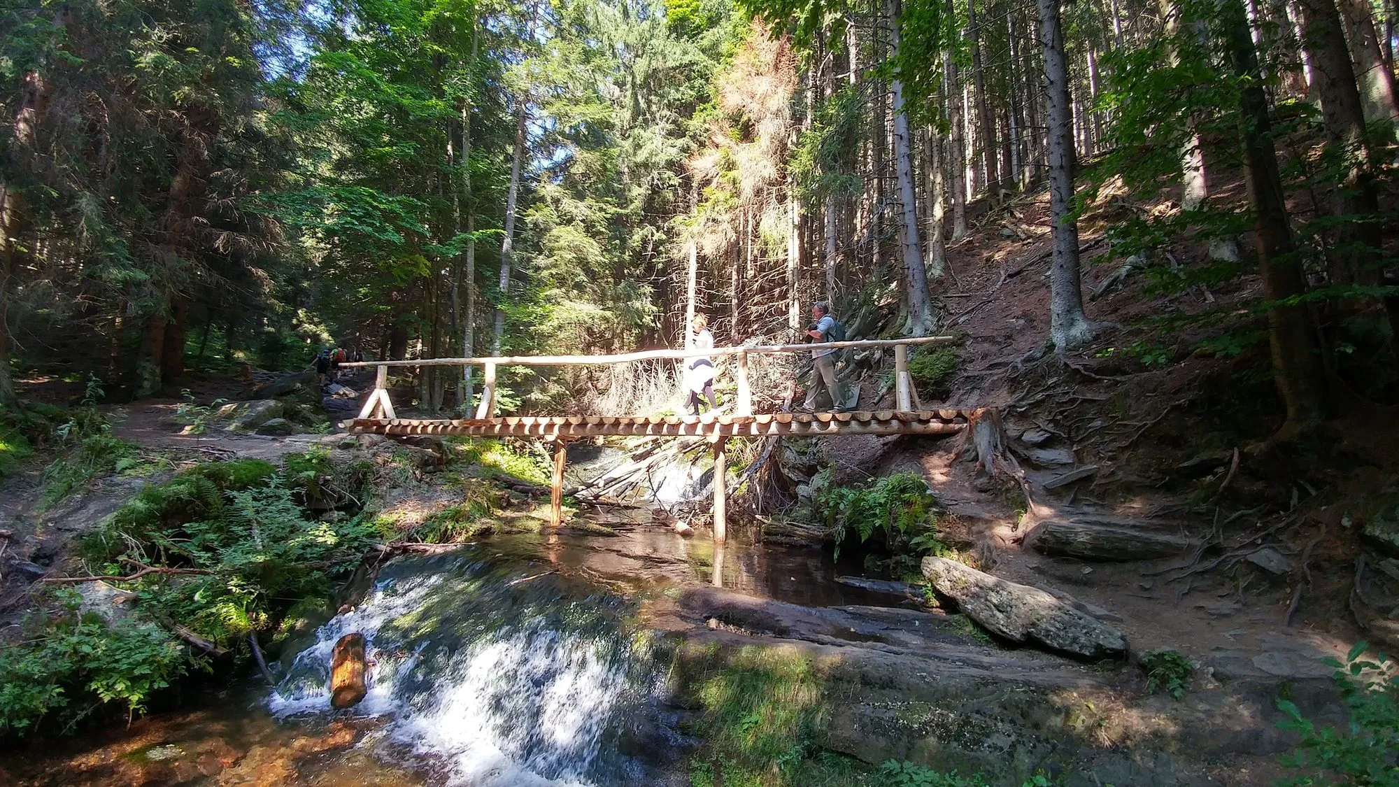 Kładka nad Białą Opawą