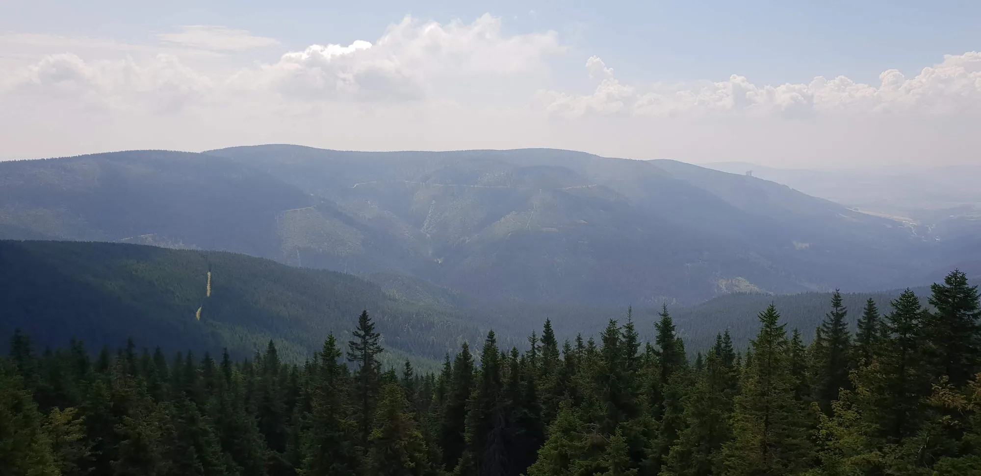 Widok z zielonego szlaku pod kopułą Śnieżnika, sierpień 2018