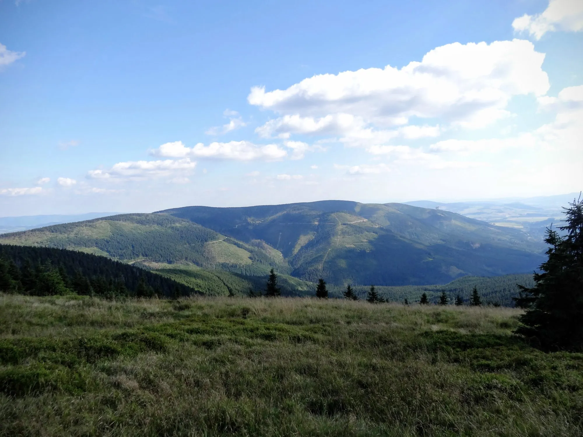 Widok z kopuły Śnieżnika na wschód, sierpień 2016