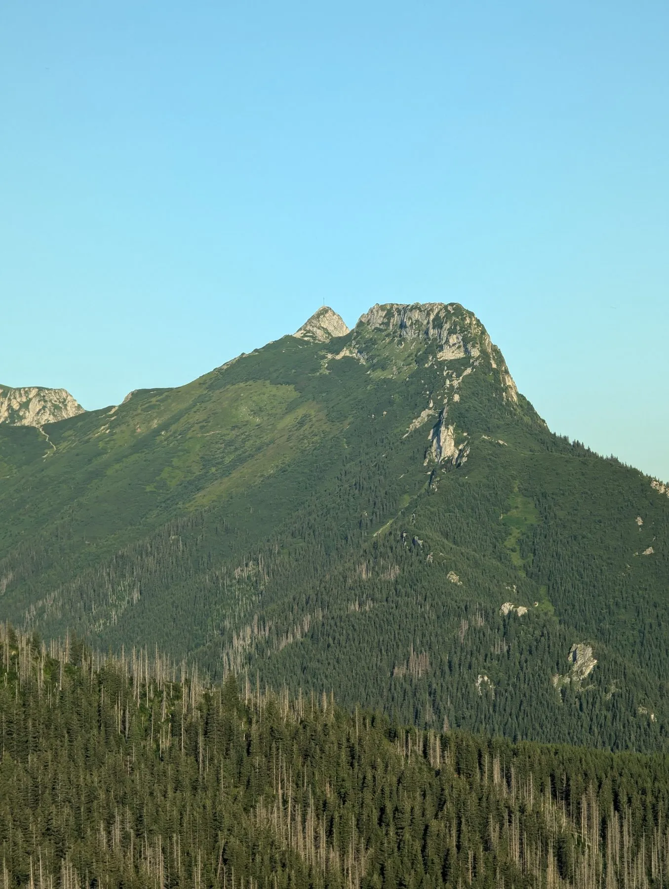 Giewont widziany ze szlaku przez Boczań