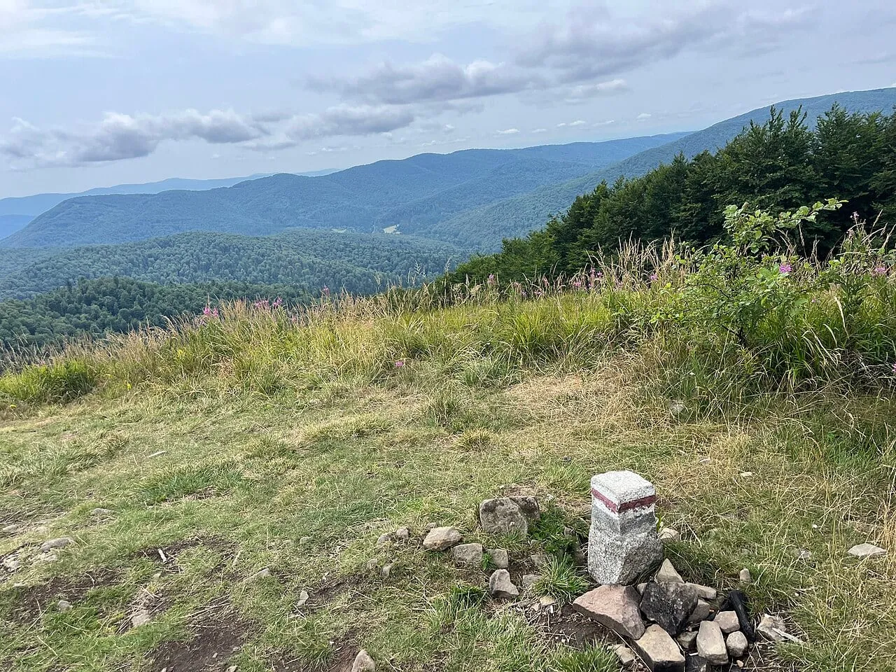 Szczyt Rudego (1052 m) na grzbiecie prowadzącym z Cisnej na Małe Jasło, lipiec 2025