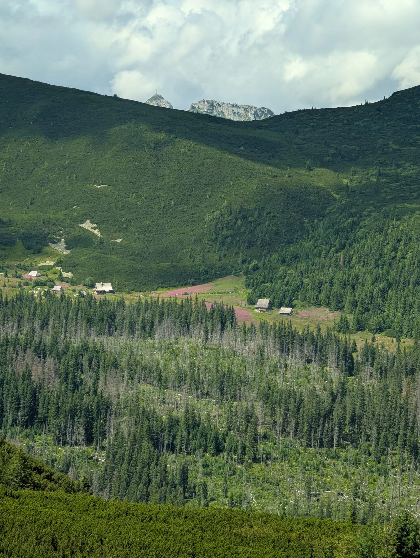 Hala Gąsienicowa widziana z żółtego szlaku na Krzyżne, nad grzbietem Giewont