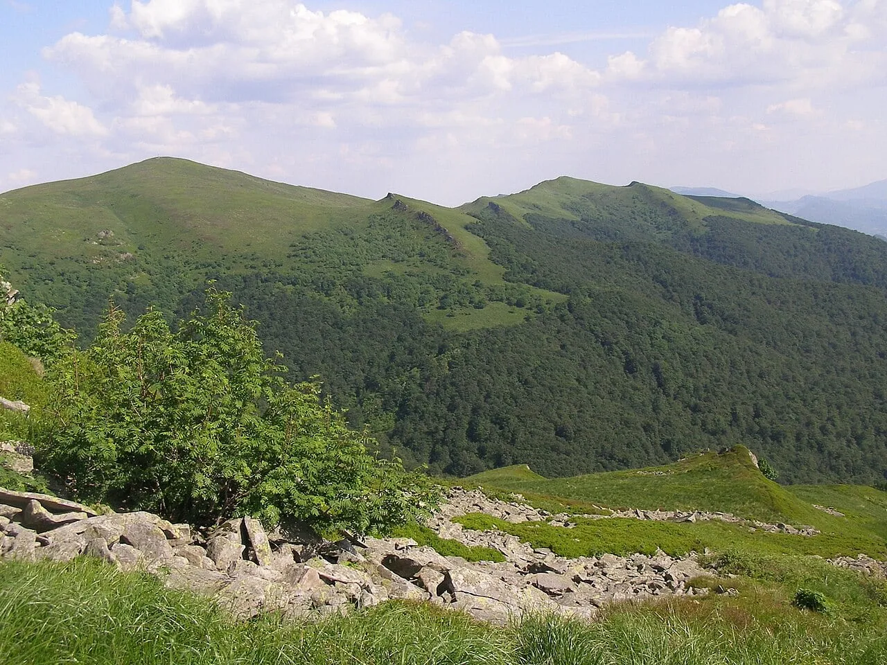 Halicz i Rozsypaniec