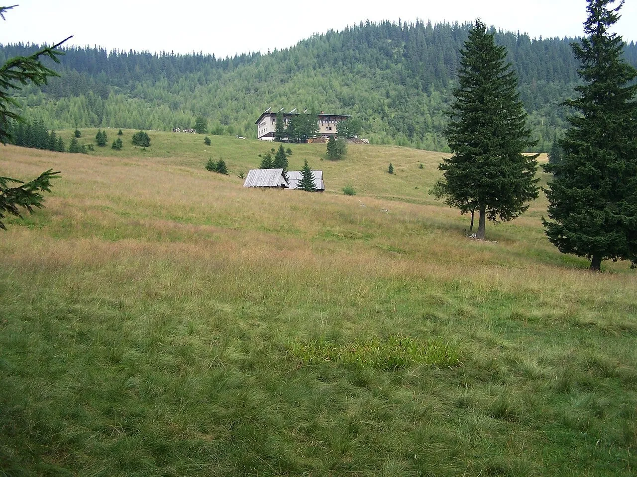 Polana Kalatówki