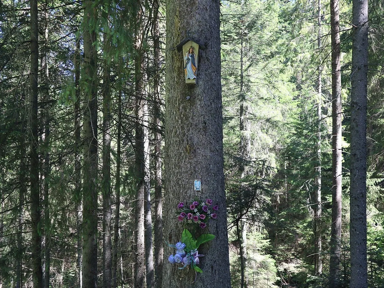 Kapliczka na drzewie przy szlaku z Zazadniej na Wiktorówki