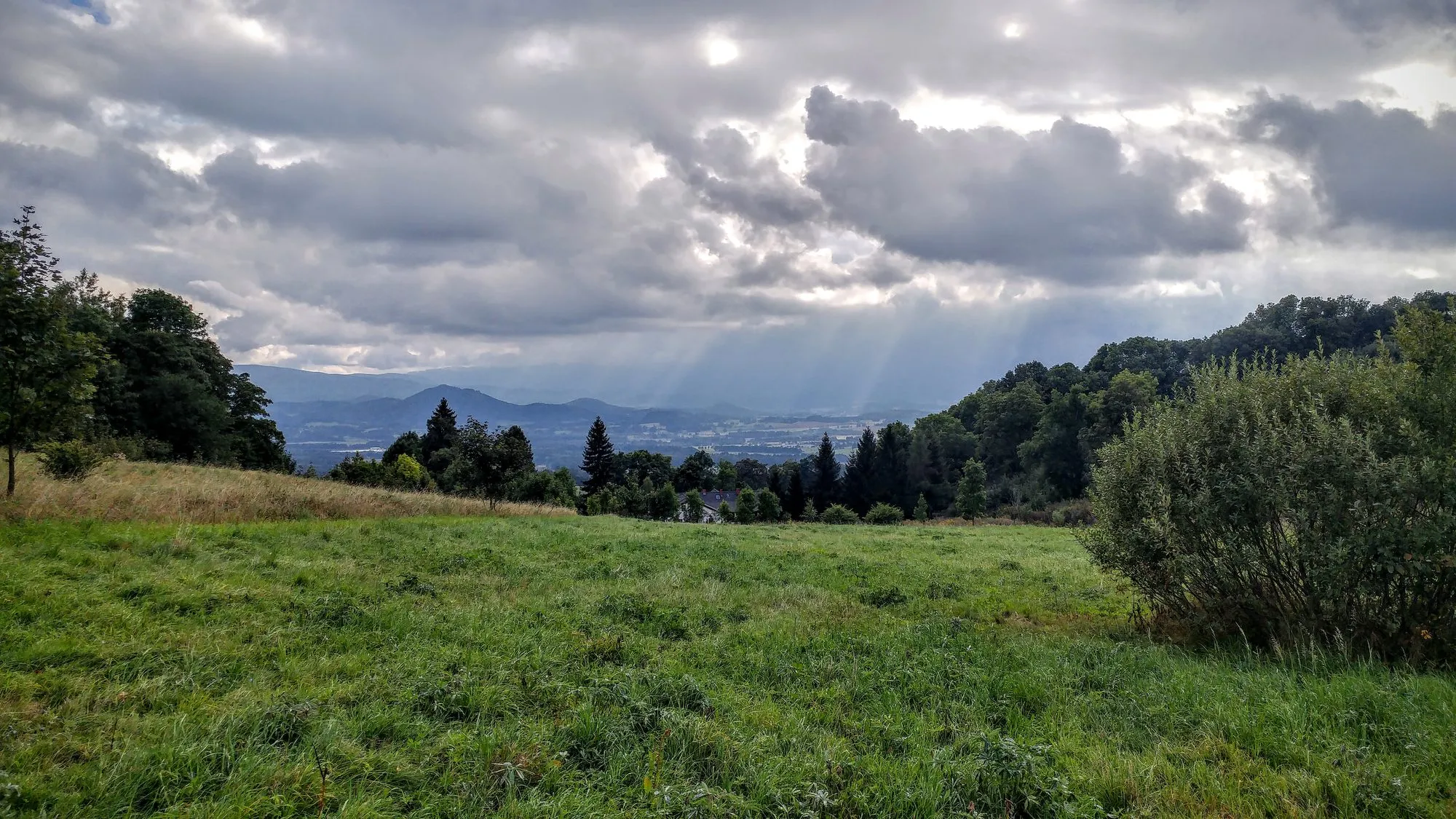 Łąki nad Komarnem, wrzesień 2016