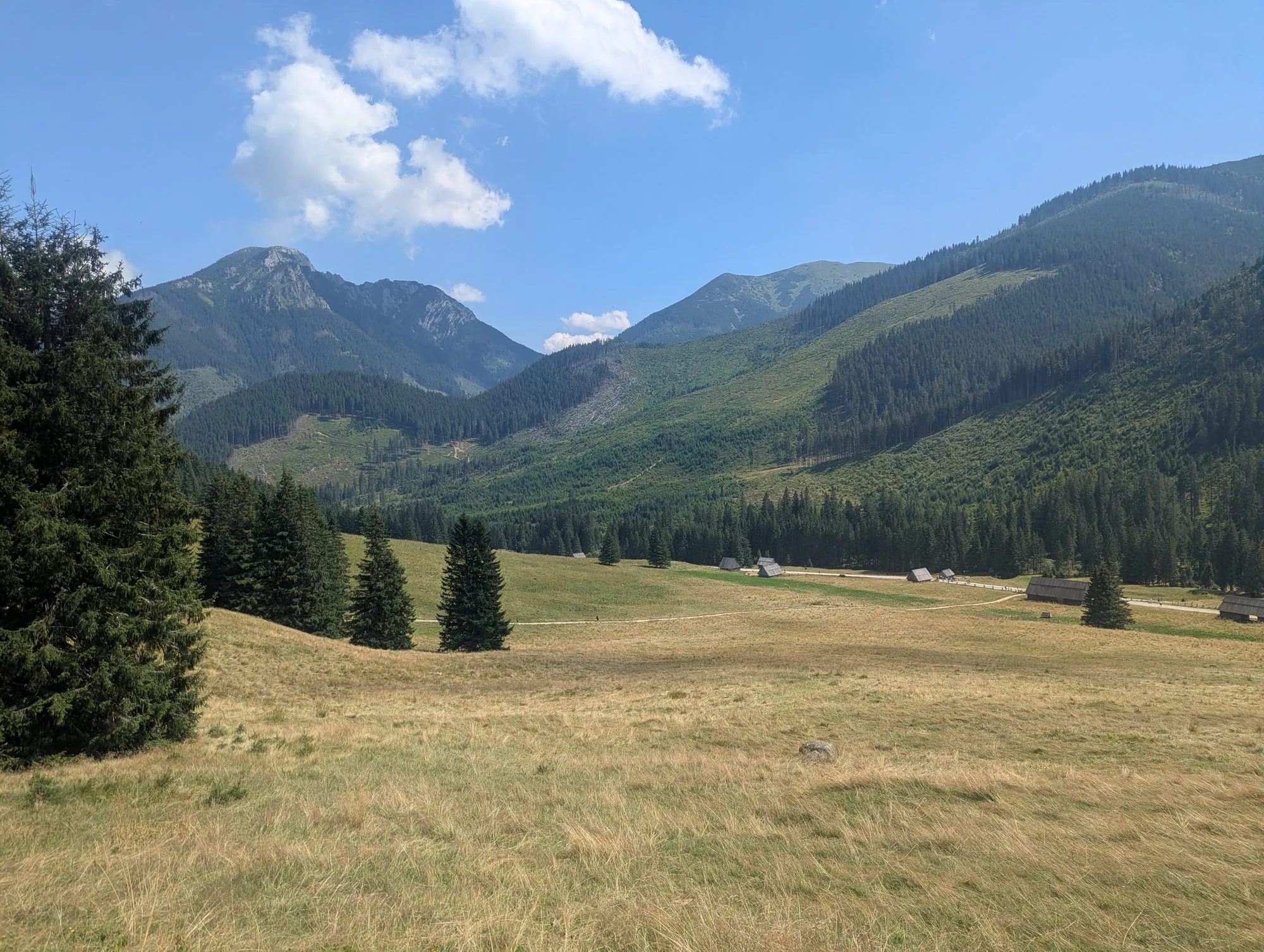 Polana Chochołowska w sierpniu, w głębi Tatry Zachodnie