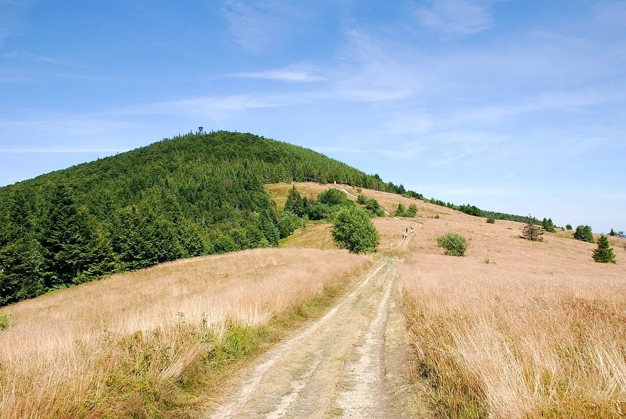 Polana Stumorgowa pod szczytem Mogielicy