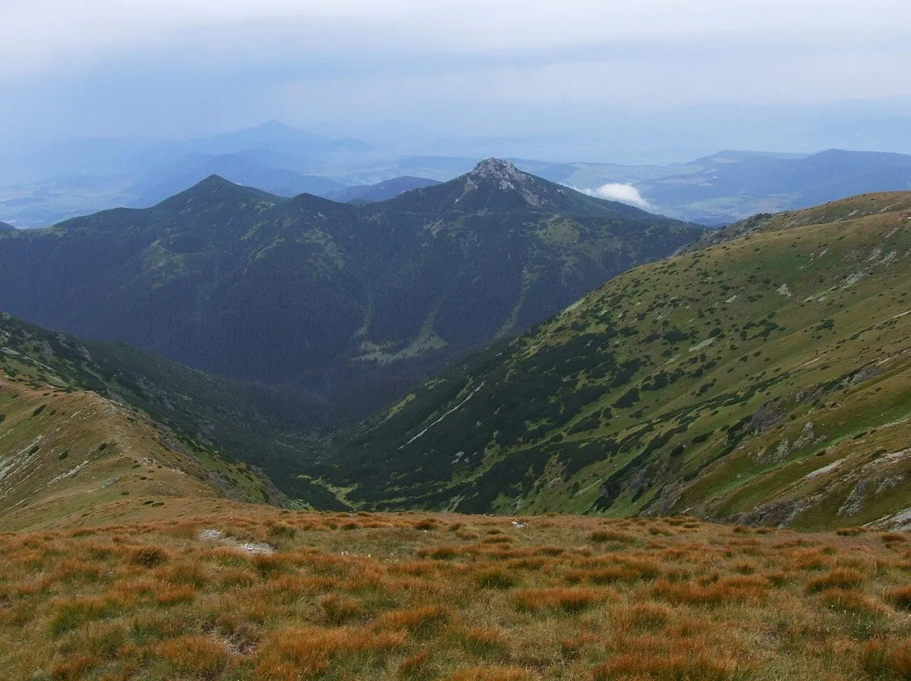 Siwy Wierch