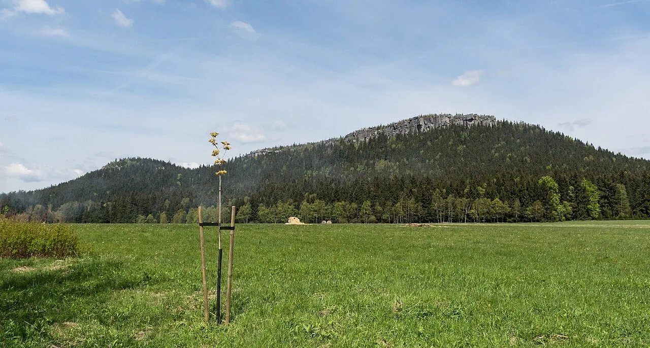 Szczeliniec Wielki