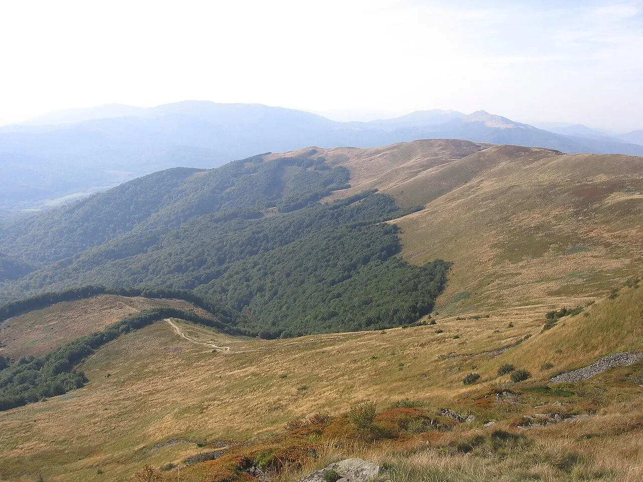 Szeroki Wierch widziany z Tarnicy