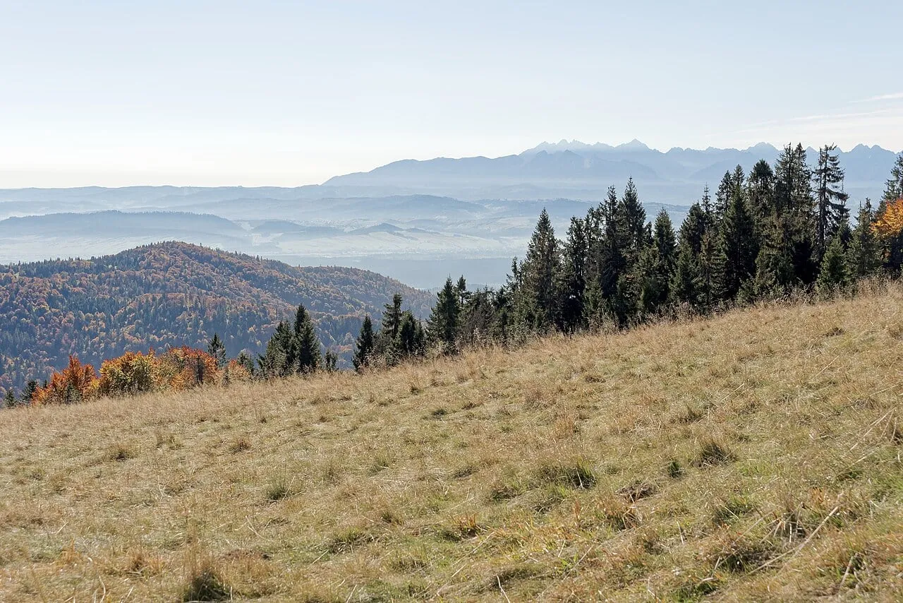 Widok na Tatry z Hali Wolnica pod Turbaczem
