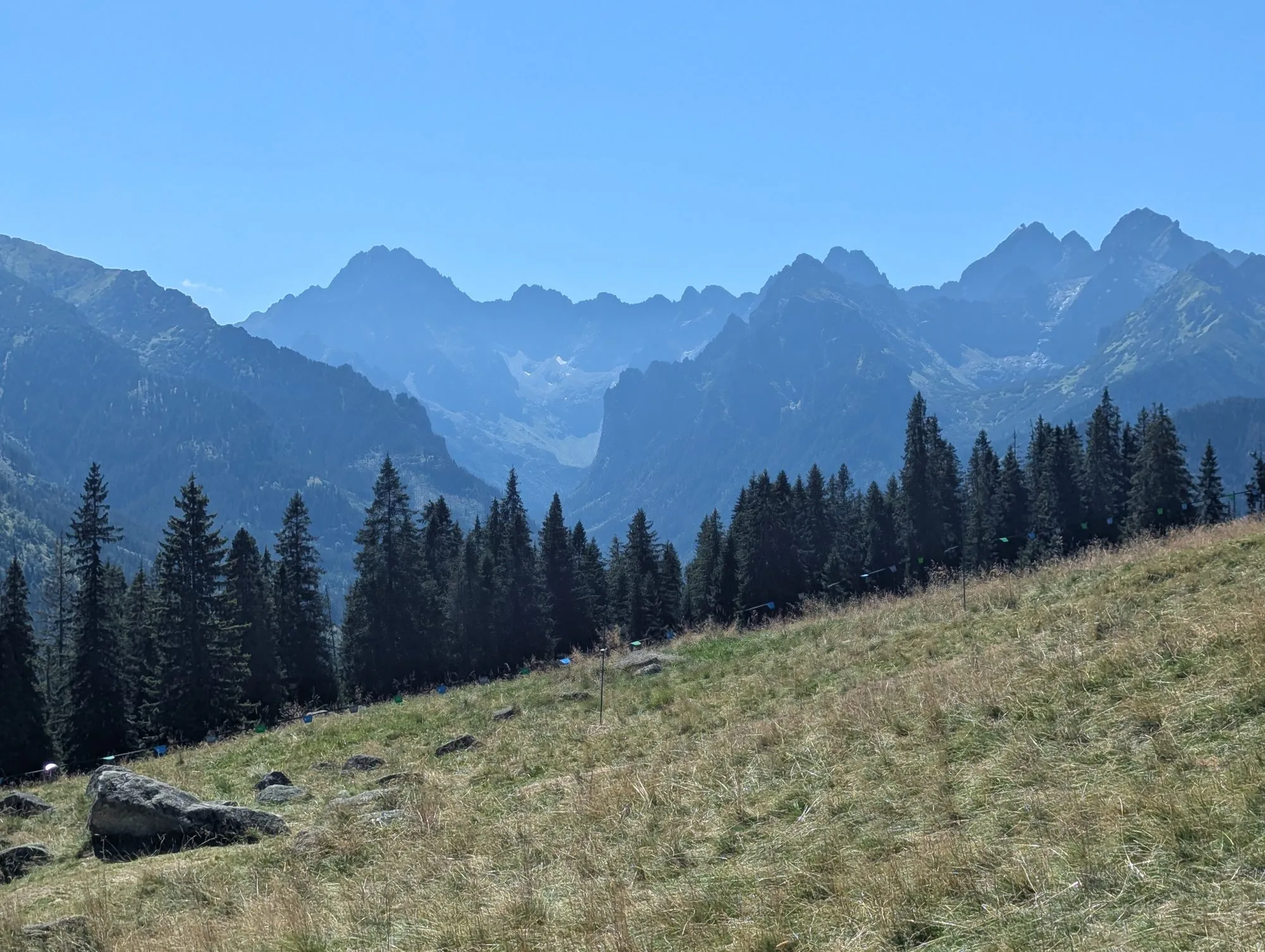 Tatry Wysokie widziane z Rusinowej Polany, sierpień 2026