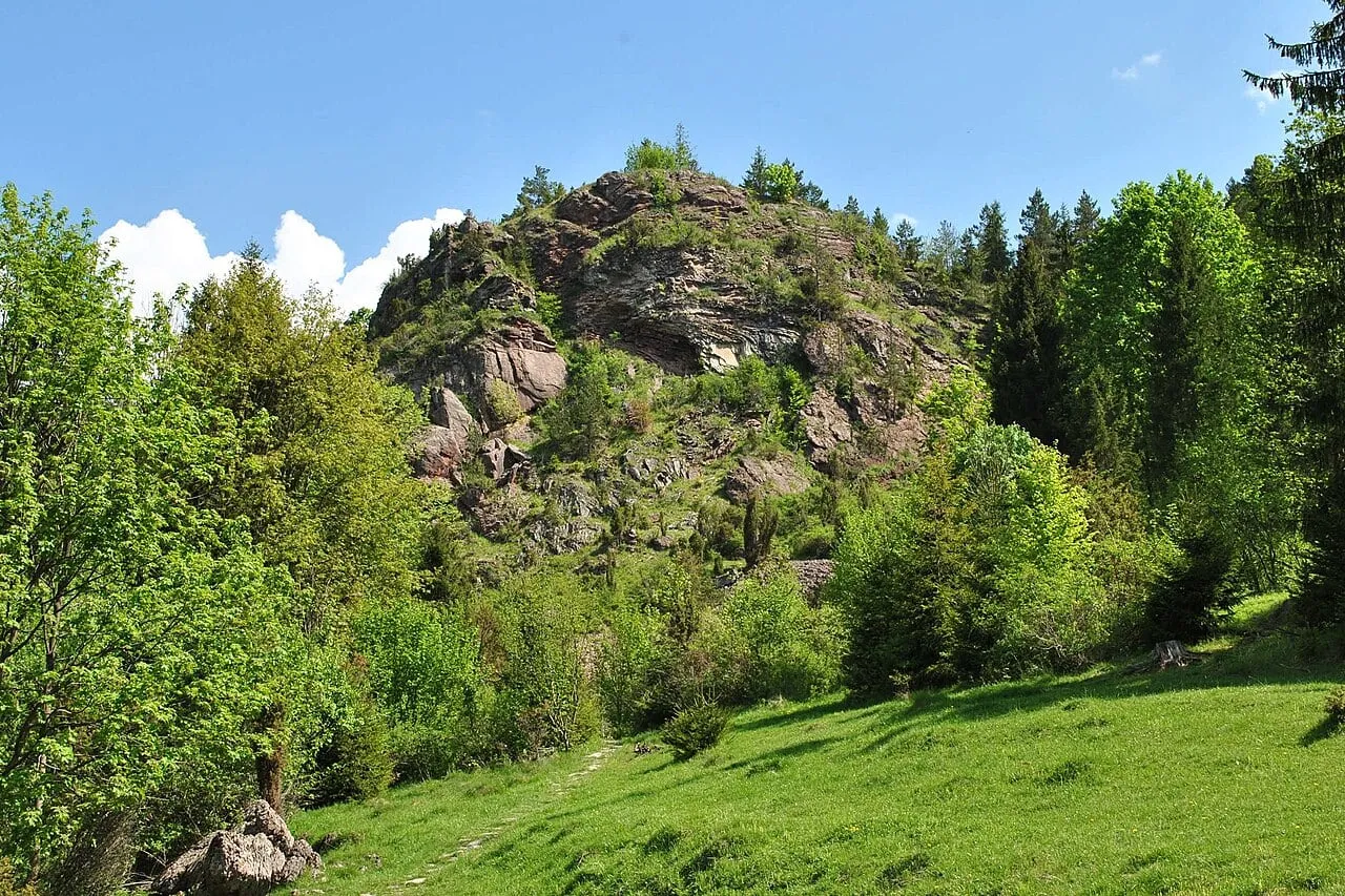 Wąwóz Homole