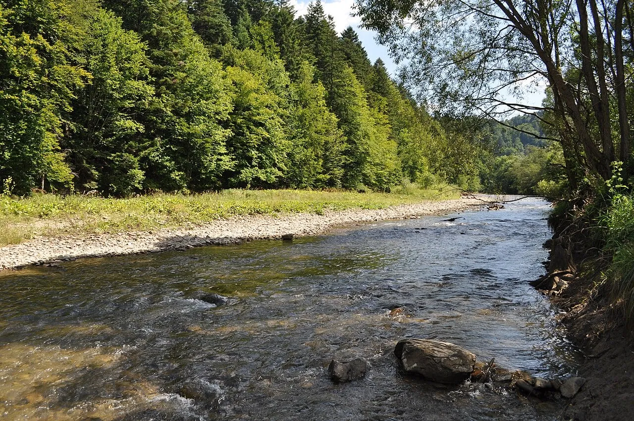 Rzeka Wetlina w rezerwacie Sine Wiry