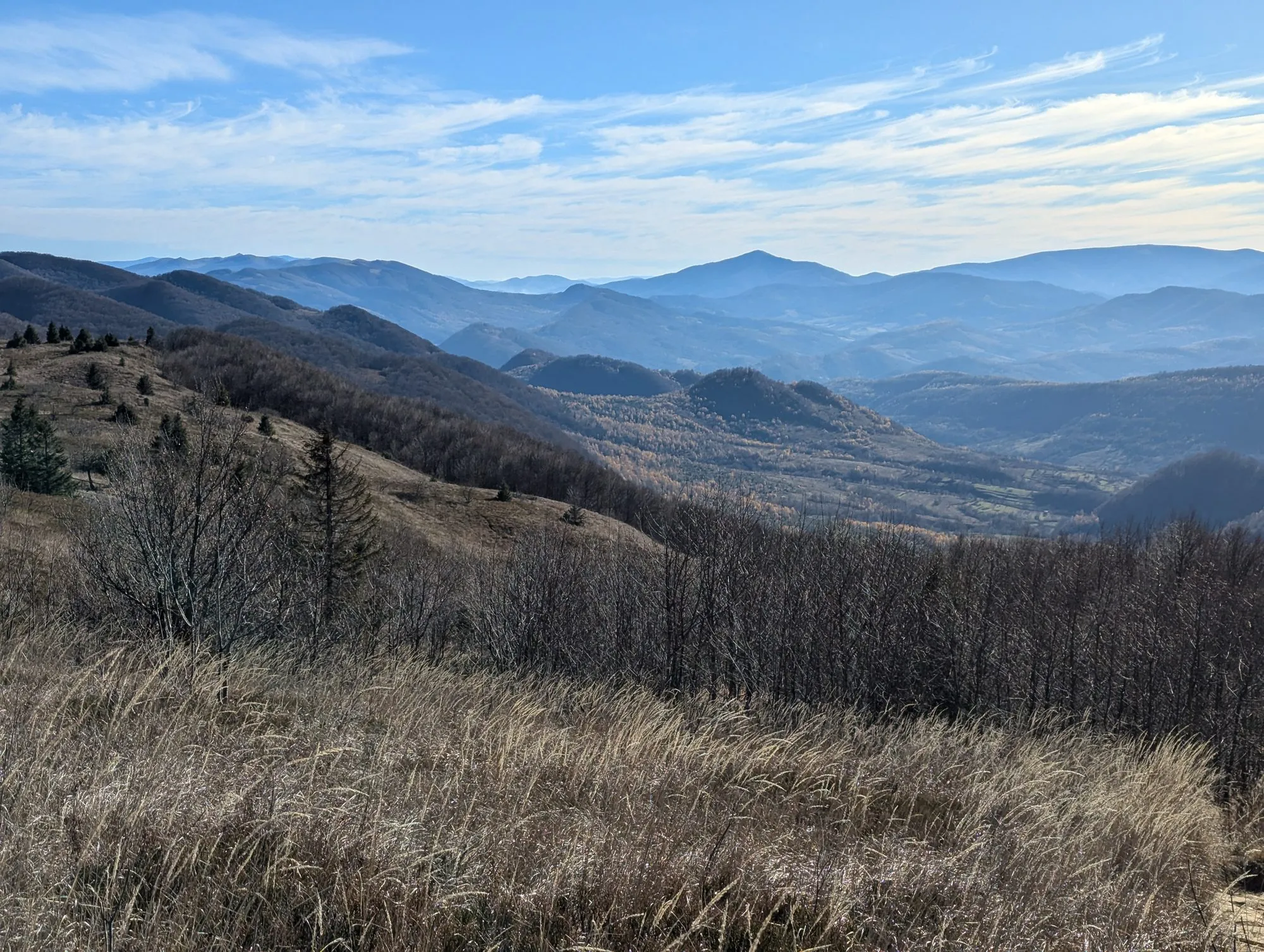 Widok z grzbietu nad Przełęczą Bukowską, listopad 2024