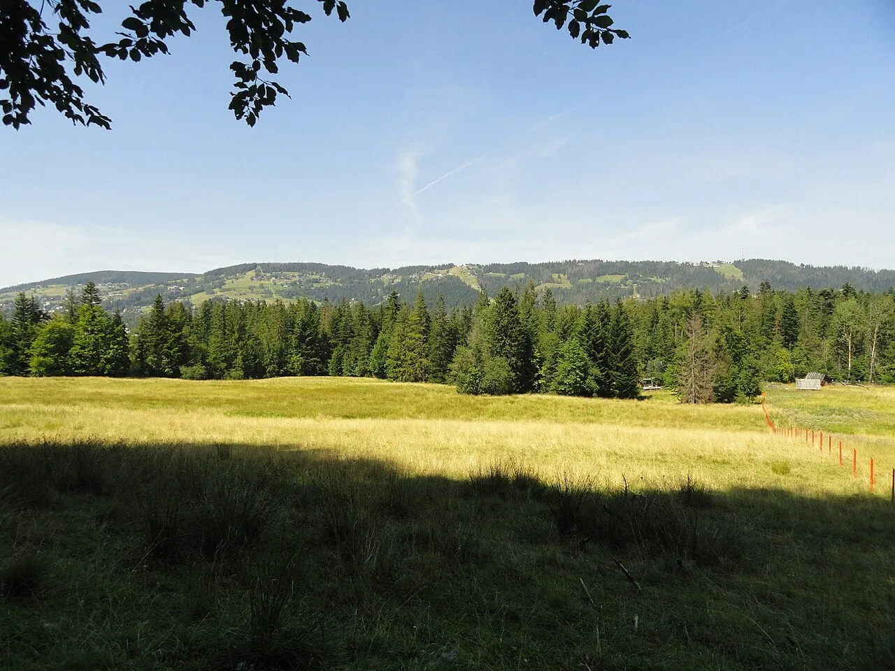Widok z Drogi pod Reglami