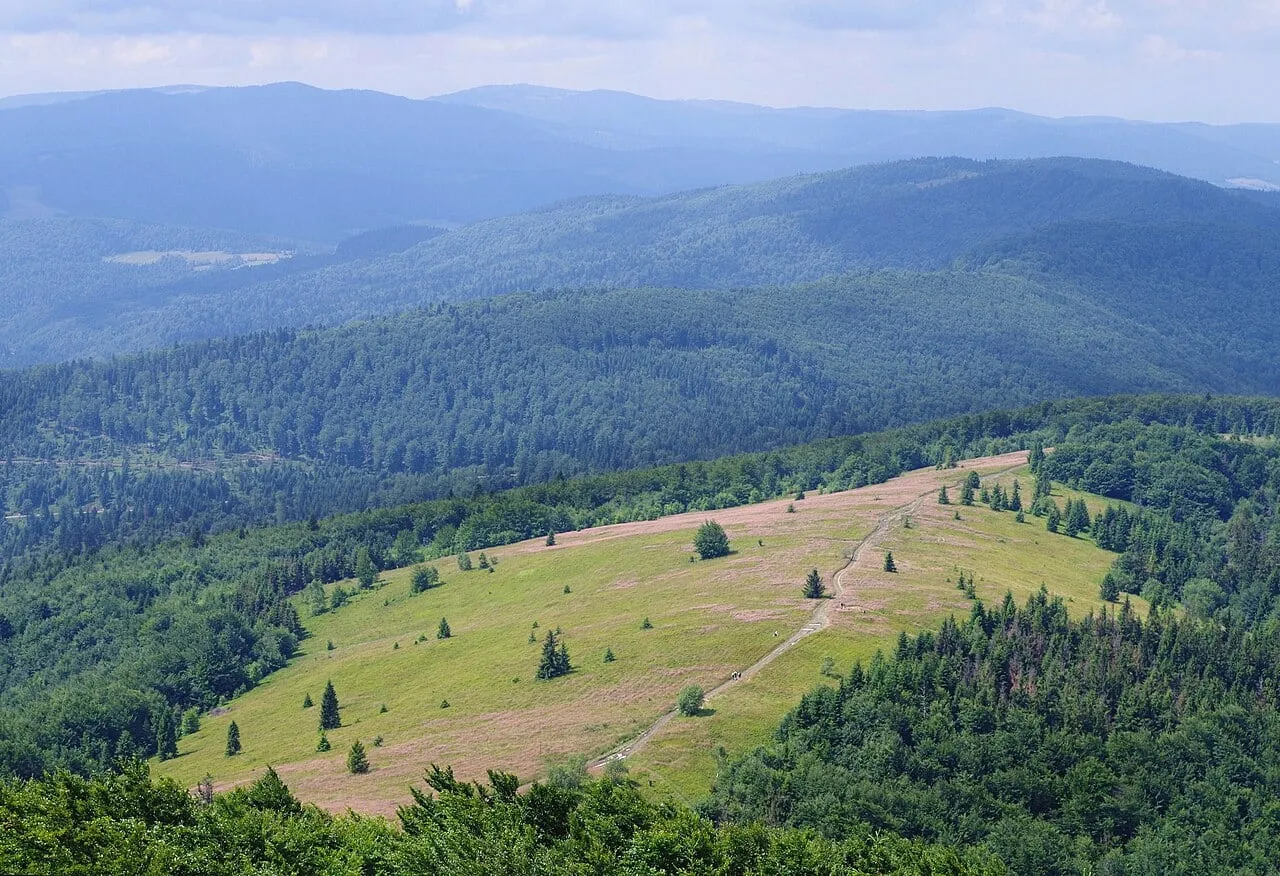 Polana Stumorgowa widziana z wieży na Mogielicy