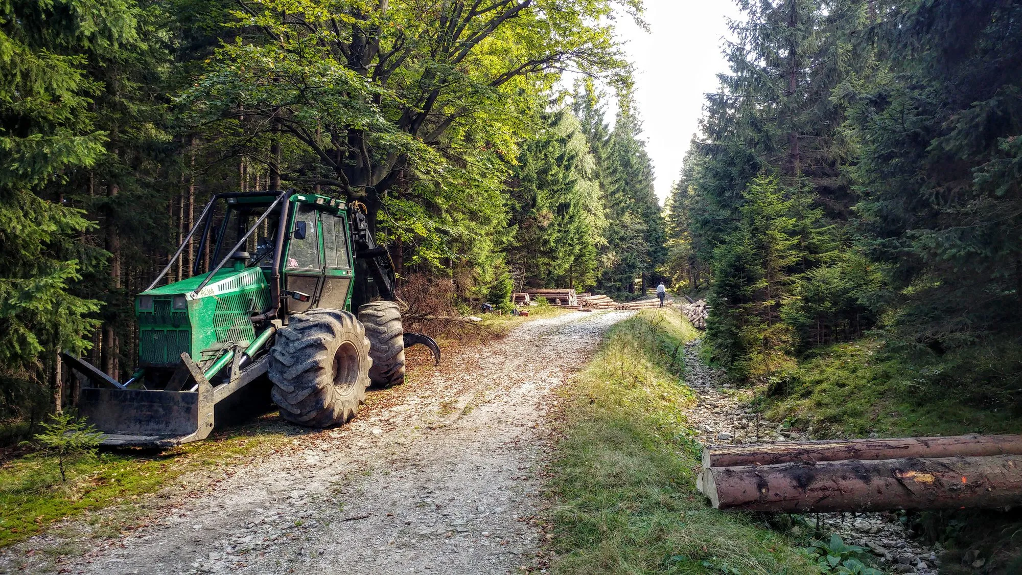 Leśna droga zielonego szlaku powyżej Rozdroża Izerskiego, wrzesień 2016