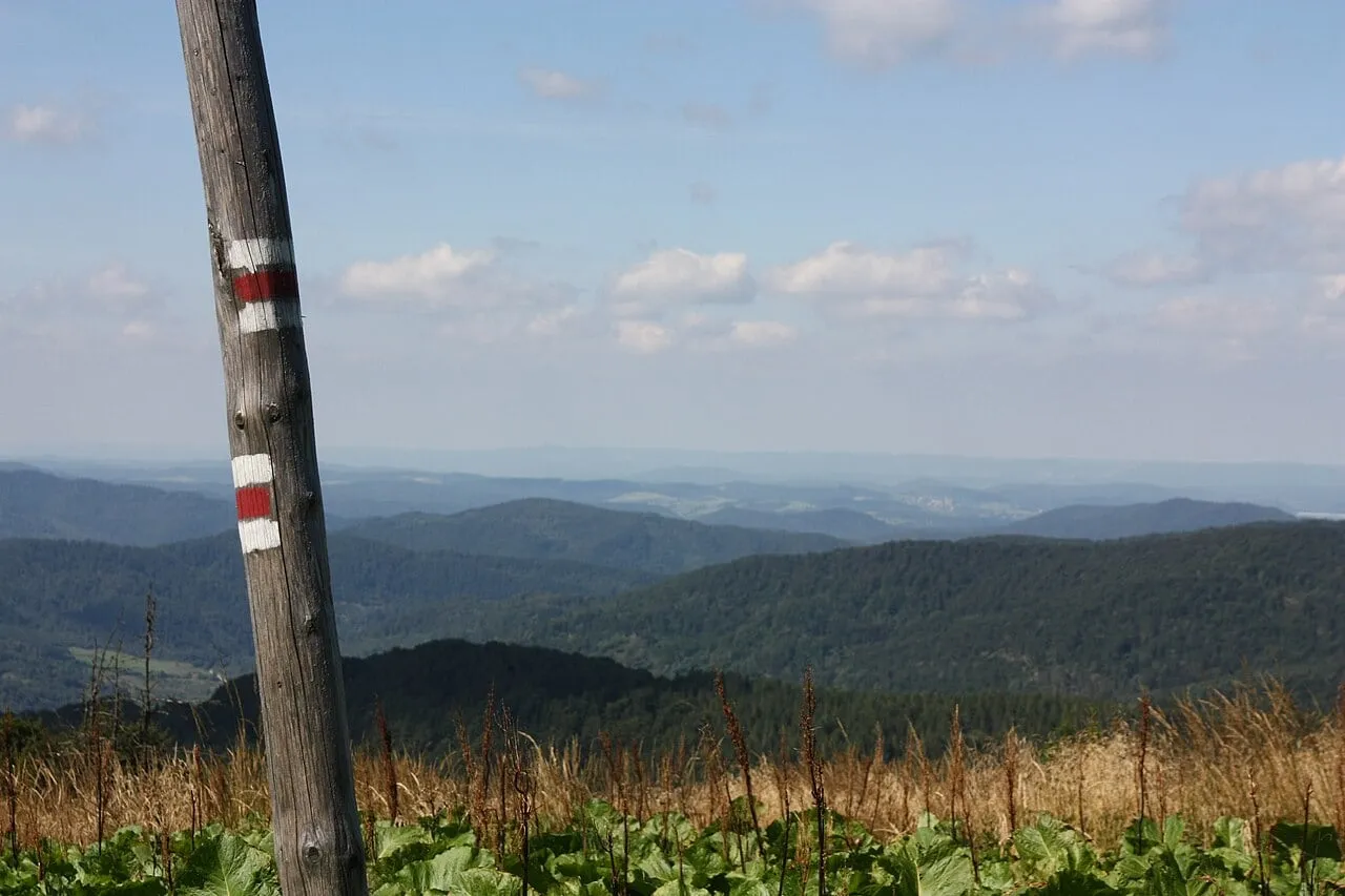 Czerwone znaki Głównego Szlaku Beskidzkiego na podejściu z Kalnicy na Smerek